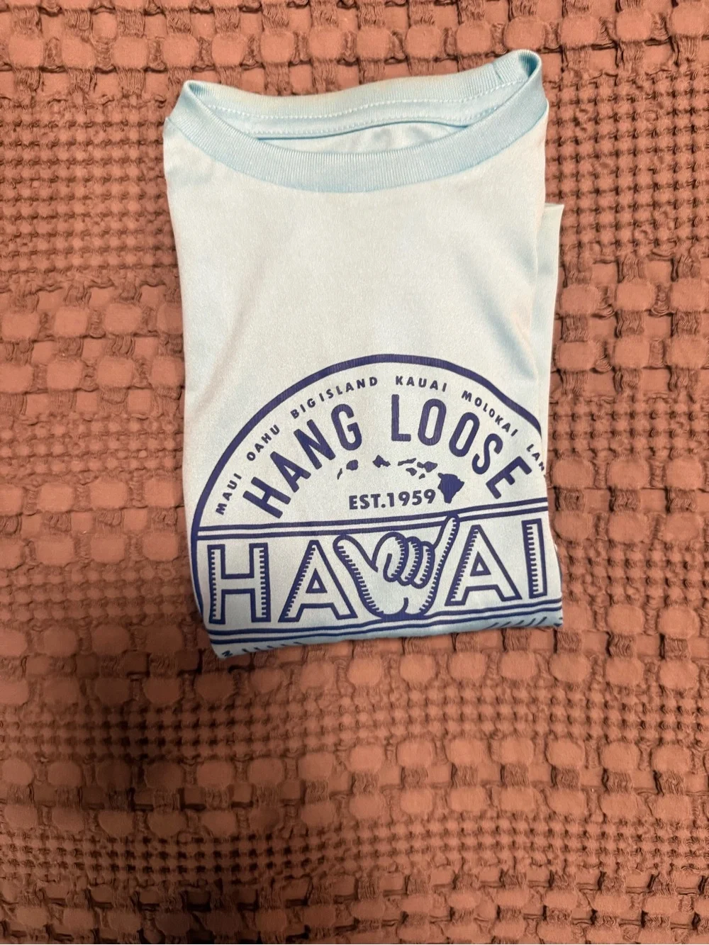 Hang Loose Hawaii Boys' Light Blue Long Sleeve Tee